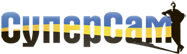 {{::config.primarySiteTitle}}